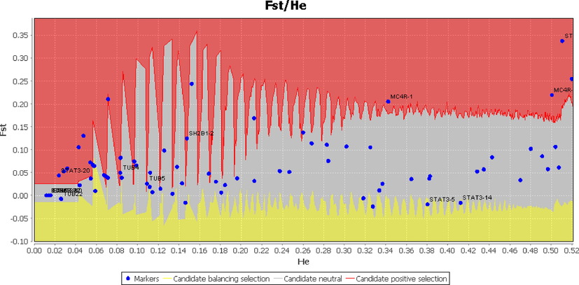 Candidate loci of the genes involved in the leptin-melanocortin signaling pathway predicted to be under positive selection keeping the 95% confidence interval. The blue dots represent candidate markers. The red, grey, and yellow markersin the red, grey, and yellow areas represent positive selection, neutral and balancing selection, respectively.