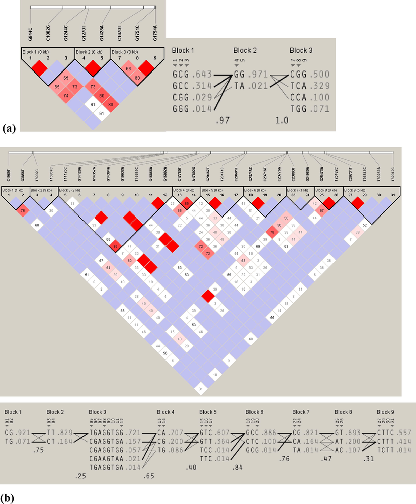 The location of major haplotype blocks and estimates for linkage disequilibrium (LD) were computed across positively selected loci of genes in the leptin-melanocortin signaling pathway. (A) For the MC4R loci, pairwise plots (D') were generated based on genotype data from re-sequencing 71 sheep. (B) Meanwhile, for the re-sequenced gene STAT3, which comprises 31 loci, LD values (D') were calculated, and the color scheme for LD was stratified based on the logarithm of the odds (LOD) score.