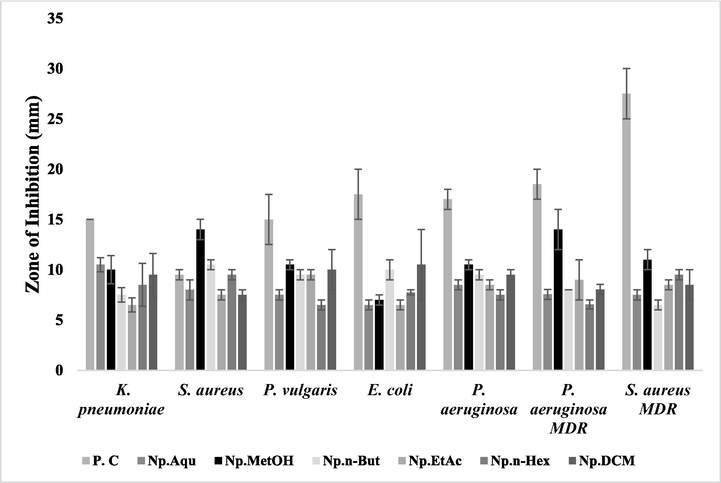 Antibacterial potential of N. procumbens (aerial part) extracts evaluated by disc diffusion method. The results were compared with the standard drug (moxifloxacin). The signifcant zone of inhibition by these extracts was observed even larger than the standad drug in some cases. P.C: Positive control (ampicillin was used for drug sensitive and moxifloxacin for drug resistant) was used as a standard. Np.Aqu = N. procumbens aqueous extract, Np.MetOH = N. procumbens methanol extract, Np.n-But = N. procumbens n-butanol extract, Np.EtAc = N. procumbens ethyl acetate extract, Np.n-Hex = N. procumbens n-hexane extract, Np.DCM = N. procumbens dichloromethane extract.