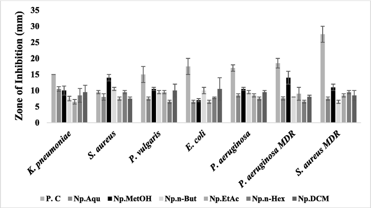 Antibacterial potential of N. procumbens (floral part) extracts evaluated by disc diffusion method. The results were compared with the standard drugs (moxifloxacin). The signifcant zone of inhibition was observed by these extracts, even larger than the standard drug in some cases. P.C: Positive control (ampicillin was used for drug sensitive and moxifloxacin for drug resistant) was used as a standard. Np.Aqu = N. procumbens aqueous extract, Np.MetOH = N. procumbens methanol extract, Np.n-But = N. procumbens n-butanol extract, Np.EtAc = N. procumbens ethyl acetate extract, Np.n-Hex = N. procumbens n-hexane extract, Np.DCM = N. procumbens dichloromethane extract.