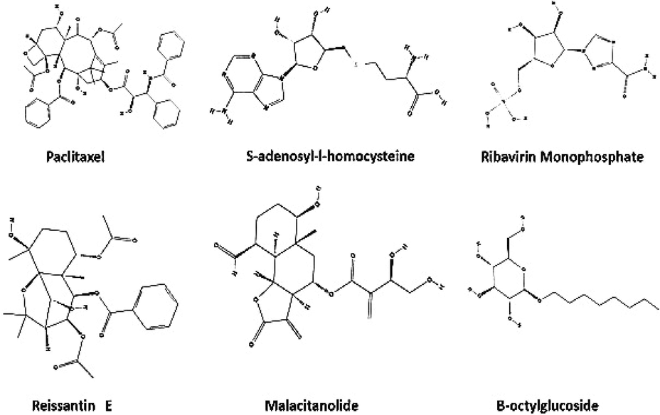 Chemical structures of reference ligands and terpenoid compounds.