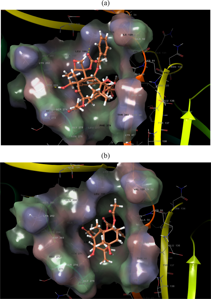 Docking pose of compounds (a) Paclitaxel and (b) Reissantin E with the 1OKE target protein of dengue virus.