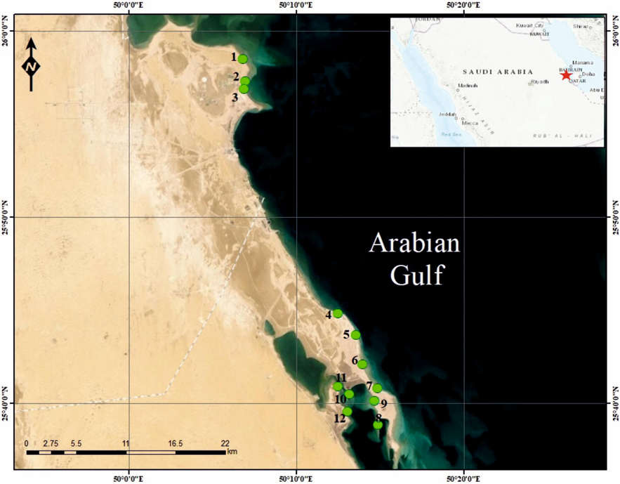 Location map of the study area and sample stations (modified after Al-Hashim et al., 2021).