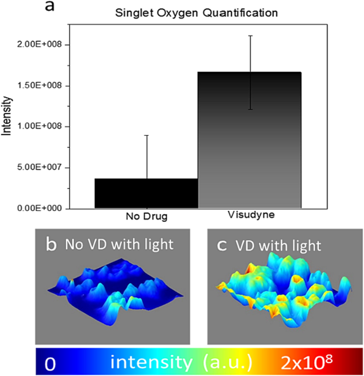 Singlet oxygen quantification in VD-PDT KB cells after light treatment shows statistically significant increase (P < 0.01) compared to control (a) 2.5 D fluorescence intensity map of SOSG sensor in KB cells after light treatment (b) without VD treatment (c) VD treatment.