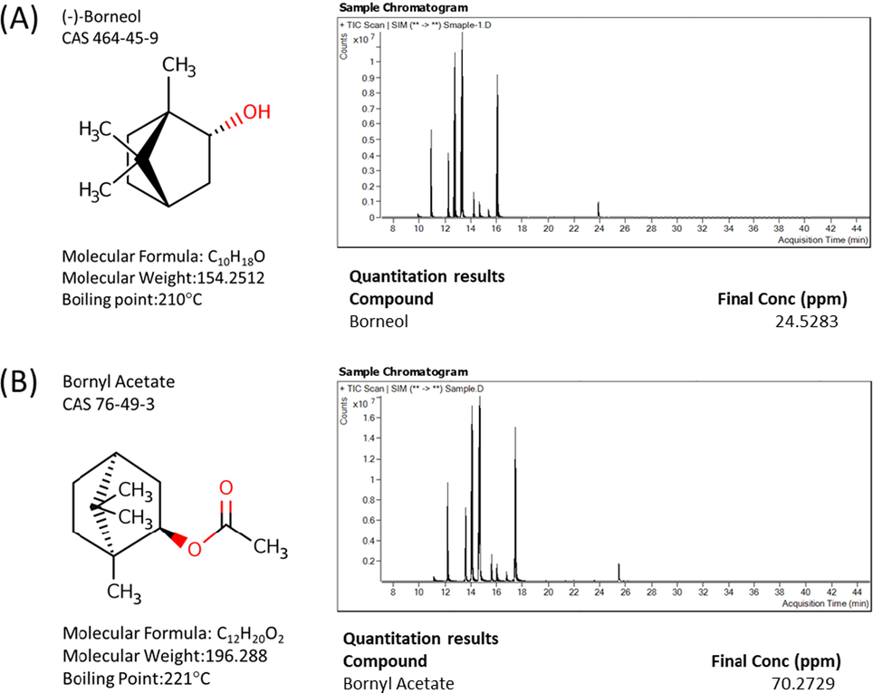 Structure and amount of borneol and derivative contained in fraction 1 (F1). (A) Basic characteristics of borneol and its quantification by GC/MS analysis of F1. (B) Basic characteristics of bornyl acetate and its quantification by GC/MS analysis of F1.