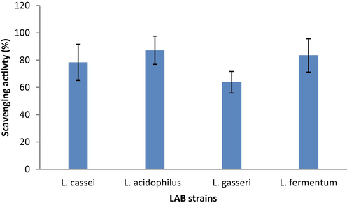 Antioxidant activity of selected bacterial strains.