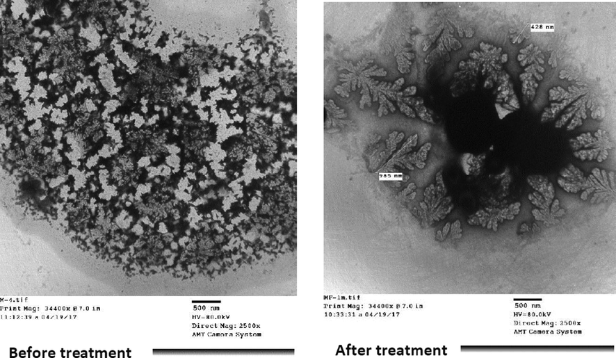 TEM of well water (TDS = 1000 ppm) before and after magnetic treatment.