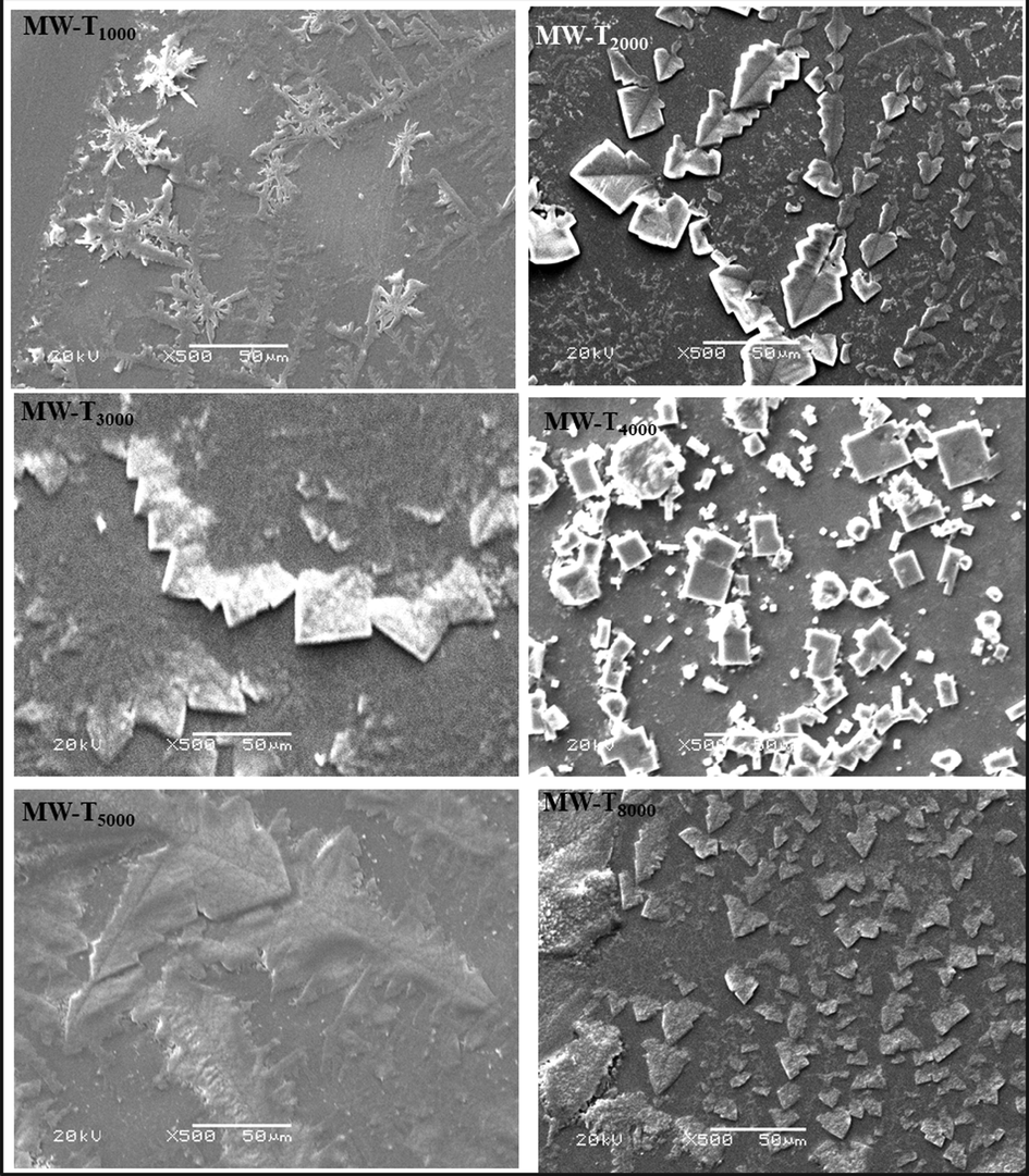 SEM of well water after magnetic treatment.