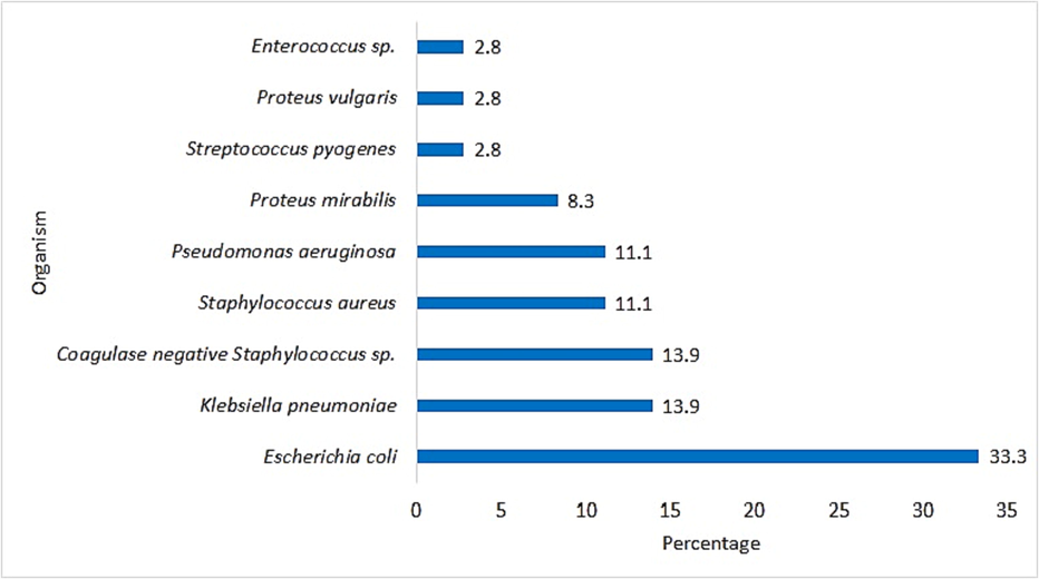 Percentage of bacterial species isolated from diabetic foot ulcers in amputated patients.