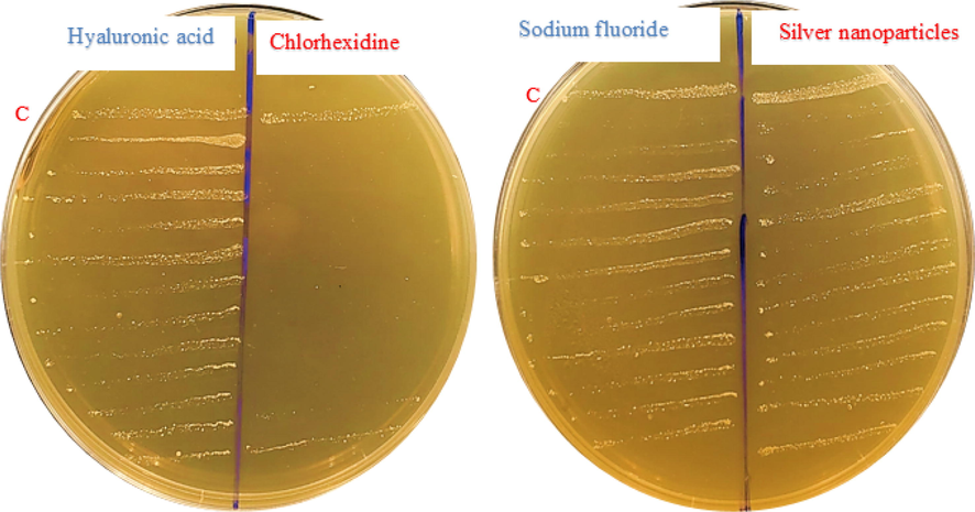 Sub-cultivation method used to determine the minimum bactericidal concentration (MBC) for chlorhexidine, hyaluronic acid, sodium fluoride and silver nanoparticles C- Control.