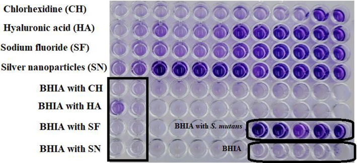 Minimum biofilm inhibition concentration (MBIC) of chlorhexidine, hyaluronic acid, sodium fluoride and silver nanoparticles (Ag-NPS) against S. mutans ATCC 25175.