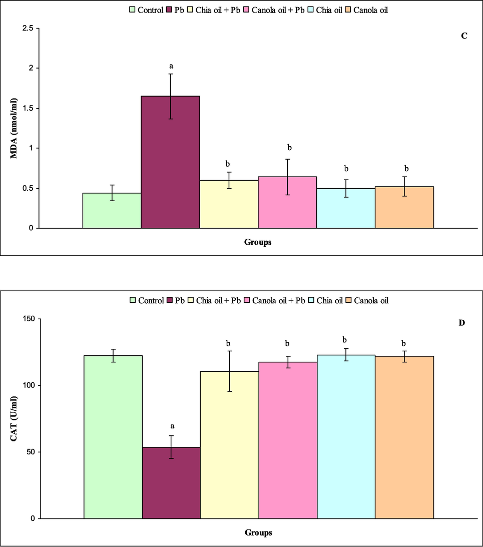 (A-D) Level of GSH(A),SOD (B), MDA (C) and CAT(D) in control (group1), Pb (group2),chia oil plus Pb (group3), canola oil plus Pb(group4),chia oil (group5)and canola oil (group6)treated rats. Significance levels shown for diffrence between control (group 1) and treated groups (2, 3,4, 5, and 6)were indicated by a. Significance levels shown for difference between Pb (group 2),and groups 3,4, 5 and 6 were indicated by b.