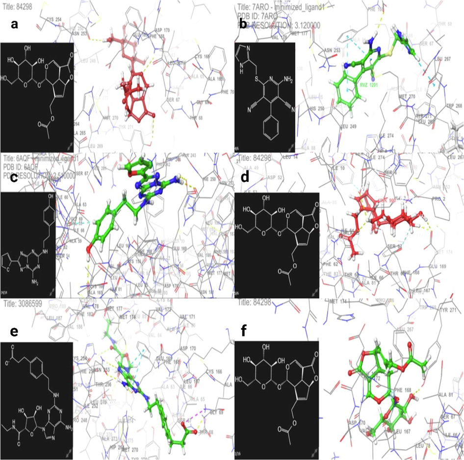 Fig. 1a and 1b show the 3D binding interaction of target compounds Asperuloside and Cgs21680 as A2A receptor agonists at the Cgs21680 active site, respectively, examined and investigated using molecular docking. Fig. 1c and 1d display the 3D binding interaction of Asperuloside and LUF5833 as A2A receptor partial agonists at the LUF5833 active site. Finally, Fig. 1e and 1f exhibit the 3D interaction of Asperuloside and ZM241385 as an A2A receptor antagonist at the ZM241385 active site.