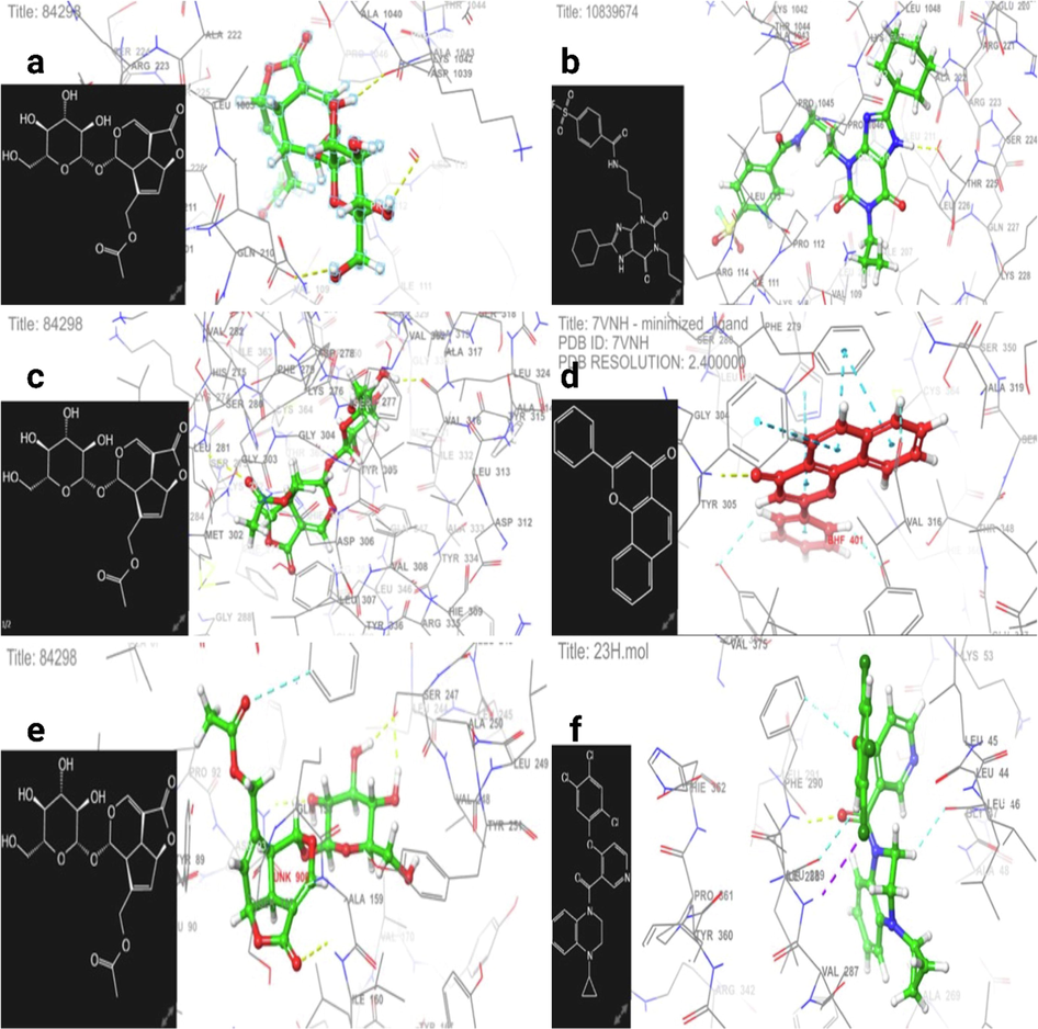 Fig. 2a and b exhibit the 3D interaction of Asperuloside and DU172 as A1 receptor covalent antagonists at the DU172 active site. Fig. 2c and d exhibit the 3D interaction of Asperuloside and alpha-naphthoflavone as antagonistic sites of the AHR receptor bound by the antagonist alpha-naphthoflavone. Fig. 2 e and f exhibit the 3D interaction of Asperuloside and 23H as an agonistic site and a synthetic agonist, respectively, with the human TGR5 complex.