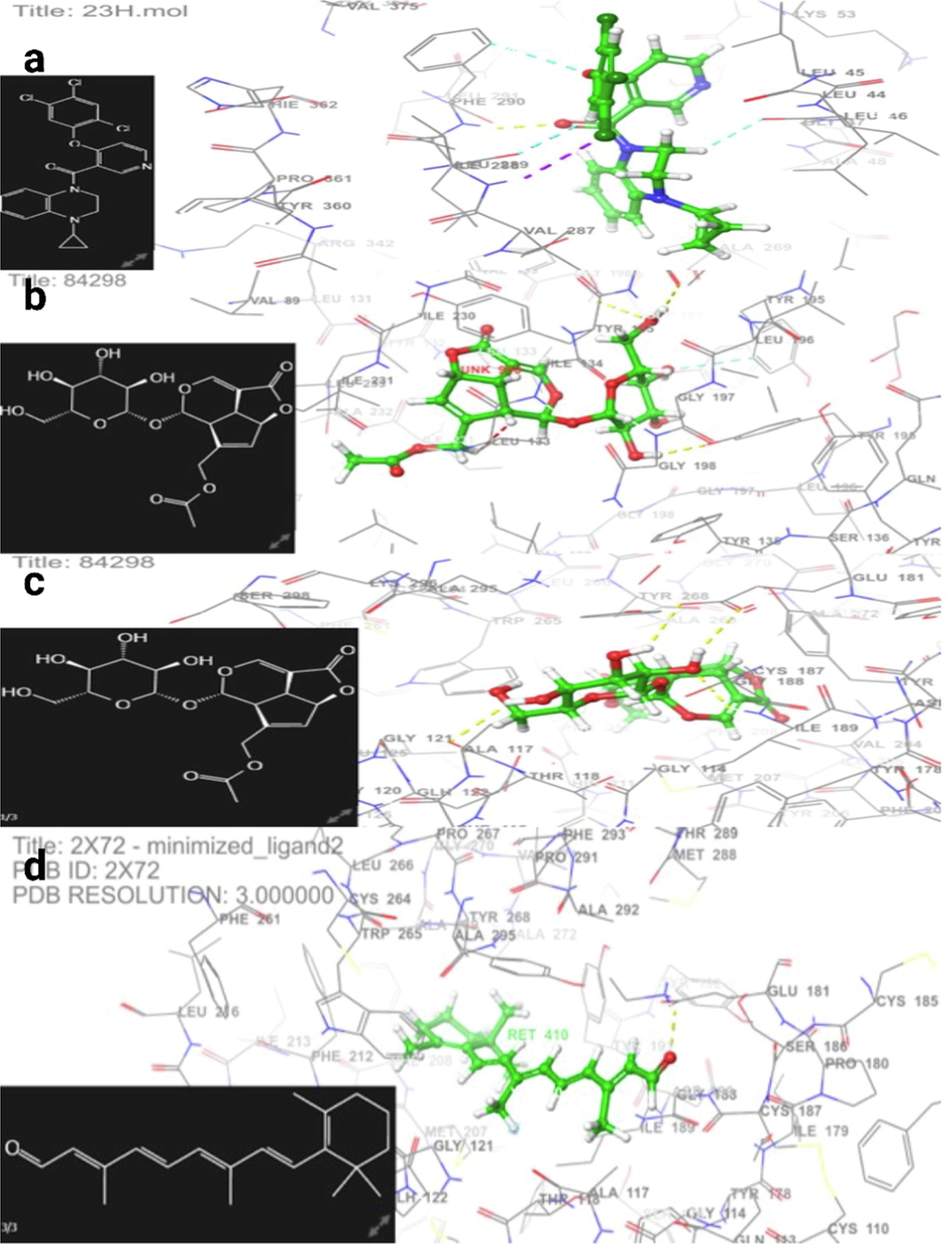 Fig. 3 a and b exhibit the 3D interaction of Asperuloside and 2-[5-(3-chloro-4-{[(1R)-1-(2-fluorophenyl)ethyl]amino}quinolin-6-yl)pyrimidin-2-yl]propan-2-ol as antagonist sites to human TNF-α in complex with antagonist, respectively. Similarly, Fig. 3 c and d exhibit the 3D interaction of Asperuloside and GalphaCT as agonist sites in rhodopsin mutants with bound galphact peptide, respectively.