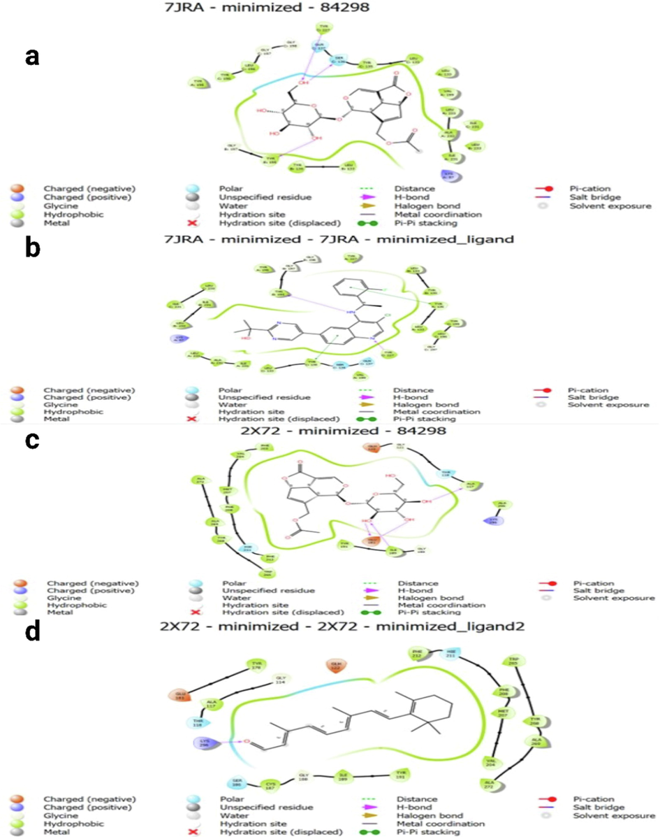 Fig. 6 a and b exhibit the 2D interaction of Asperuloside and 2-[5-(3-chloro-4-{[(1R)-1-(2-fluorophenyl)ethyl]amino}quinolin-6-yl)pyrimidin-2-yl]propan-2-ol as antagonist sites to human TNF-α in complex with the antagonist. Fig. 6 c and d display the 3D interaction of Asperuloside as an agonist site and the 2D interaction of GalphaCT as an agonist site with rhodopsin mutants bound to galphact peptide.