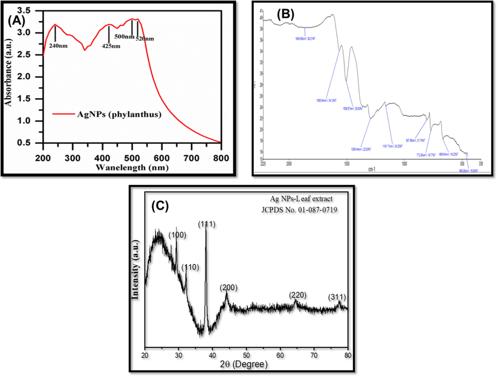 (A). UV–Vis spectrum analysis of silver NPs; (B). FTIR analysis; (C). XRD pattern of Pn-AgNPs.