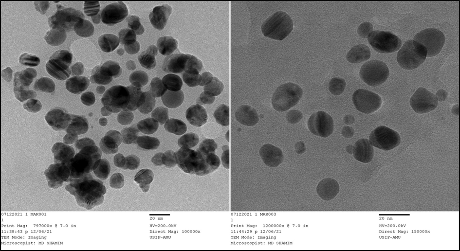 TEM image of Pn-AgNPs.