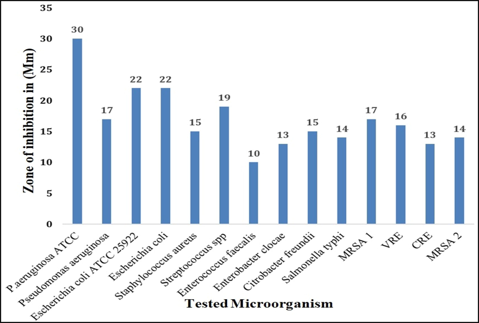  Antibacterial activity (zone of inhibition) of biosynthesized Pn-AgNPs against drug-resistant isolates using well diffusion method.