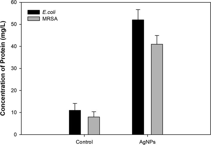 Effect of Pn-AgNPs on protein leakage in test bacterial pathogens.