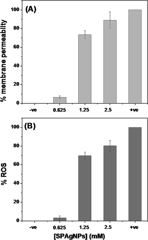 (A) Membrane integrity assay. –ve control - Untreated cells; +ve control – cells treated with CTAB. (B) ROS assay. –ve control - Untreated cells; +ve control – cells treated with H2O2.