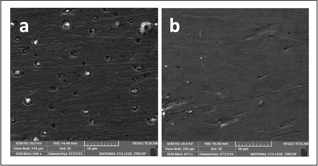 SEM images of copper in potable water (a) blank); (b) with 10 ppm Zn2++100 ppm TSC.