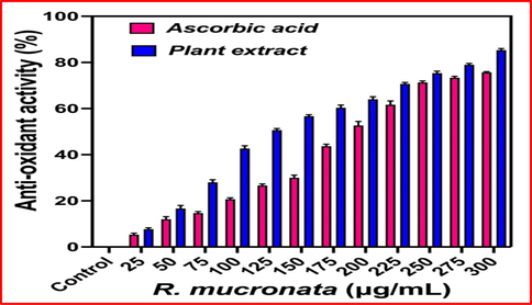 Detection of total antioxidant activity of R. mucronata extract by invitro analysis.