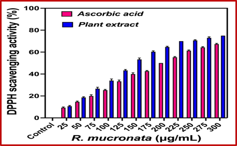 Detection of DPPH scavenging activity of R. mucronata extract by invitro analysis.