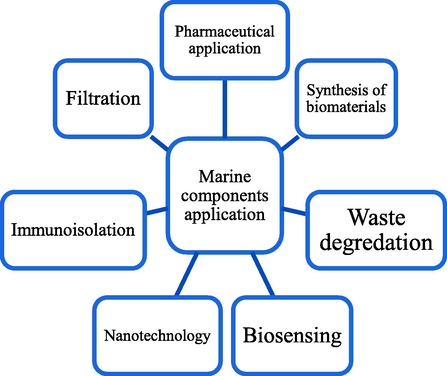 Several applications of marine source components.