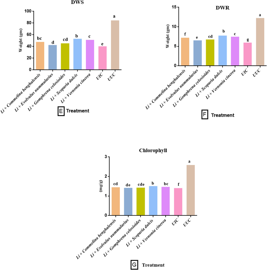 Effect of L. indica with some selected botanicals on the growth parameters A-F, biochemical parameters G-J, and pathological parameters K-M, of carrot. (UUC- Untreated uninoculated control; UIC- Untreated inoculated control; SL- Shoot length; RL- Root length; FWS- Fresh weight shoot; FWR- Fresh weight root; DWS- Dry weight shoot; DWR- dry weight root; NRA-Nitrate reductase activity). Data presented as means. According to Duncan’s multiple range test same letters are not significantly different.