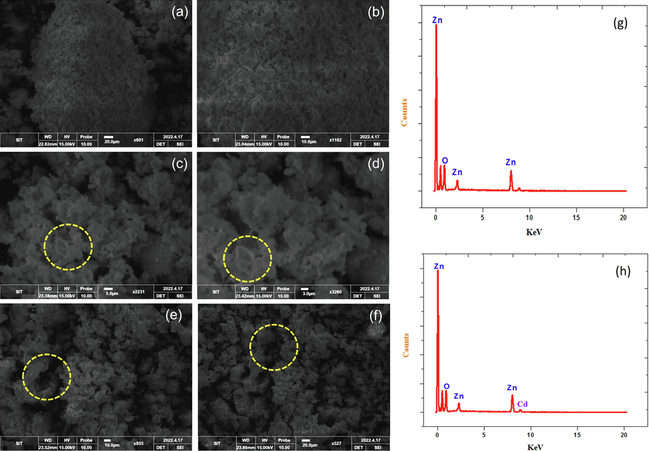 (a-f) SEM image of pure ZnO and; Cd doped ZnO nanocomposites; (g, h) EDAX spectrum of pure ZnO and Cd doped ZnO nanocomposites.