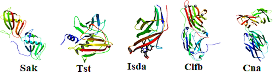 3D structures of selected S. aureus membrane proteins.