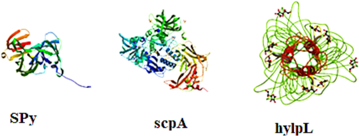 3D structures of selected S. pyogenes membrane proteins.