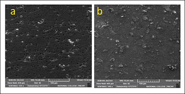 SEM image of copper surface immersed in potable water (a) containing 10 ppm Zn2+ and 100 ppm ST, (b) without inhibitor.