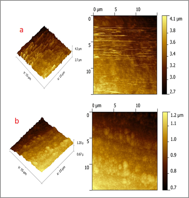 AFM images of copper surface (immersed in potable water) (a) without inhibitors; (b) with 10 ppm Zn2+ and 100 ppm ST.