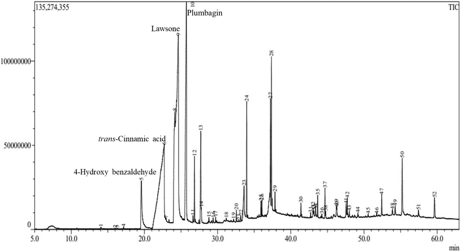 GCMS Chromatogram of PzMH fraction.