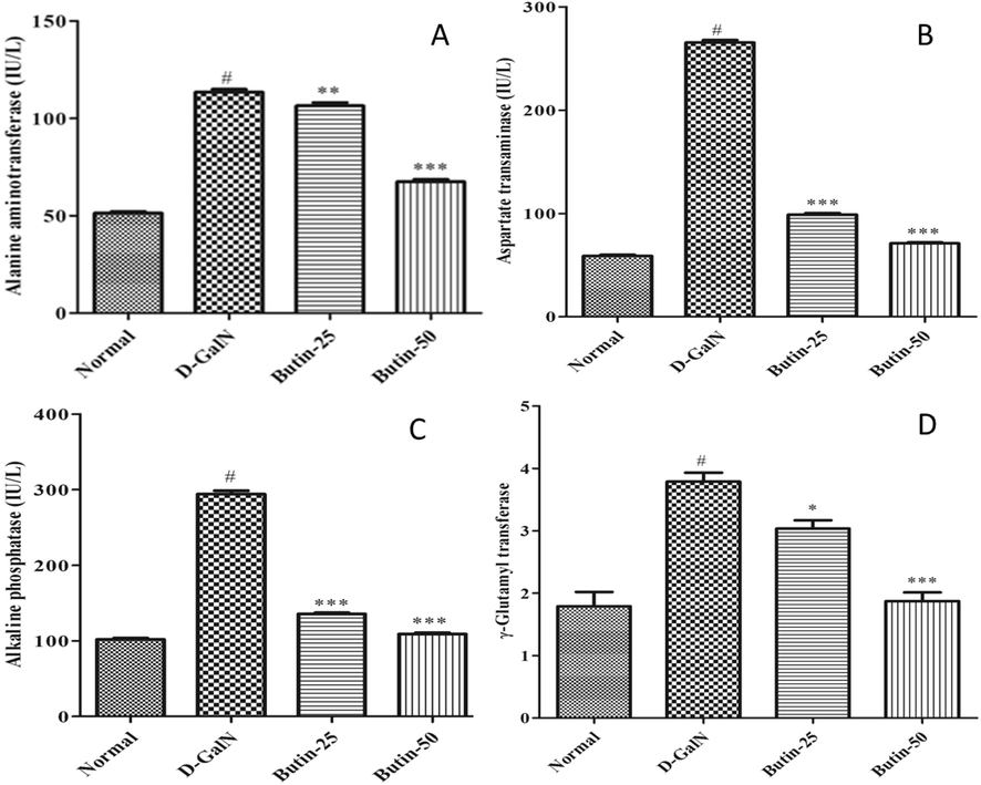 (A). Effect of butin on ALT against D-GalN-induced hepatotoxicity (B). Effect of butin on AST against D-GalN-induced hepatotoxicity. (C). Effect of butin on ALP against D-GalN-induced hepatotoxicity. (D). Effect of butin on the GGT level against D-GalN-induced hepatotoxicity. Values are expressed as Mean ± SEM, # p < 0.05 Normal VS D-GalN; **p < 0.01, ***p < 0.001 D-GalN VS Butin-25, Butin-50.