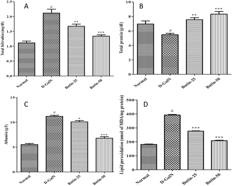 (A). Effect of butin on the total bilirubin level against D-GalN-induced hepatotoxicity. (B). Effect of butin on total protein levels against D-GalN-induced hepatotoxicity. (C). Effect of butin on Albumin levels against D-GalN-induced hepatotoxicity. (D). Effect of butin on the liver LPO level against D-GalN-induced hepatotoxicity. Values are expressed as Mean ± SEM, # p < 0.05 Normal VS D-GalN; **p < 0.01 ***p < 0.001 D-GalN VS Butin-25, Butin-50.