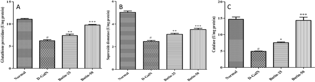 (A). Effect of butin on the liver GSH level against D-GalN-induced hepatotoxicity. (B). Effect of butin on SOD content against D GalN-induced hepatotoxicity. (C). Effect of butin on CAT content against D-GalN-induced hepatotoxicity. Values are expressed as Mean ± SEM, # p < 0.05 Normal VS D-GalN; **p < 0.01, ***p < 0.001 D-GalN VS Butin-25, Butin-50.