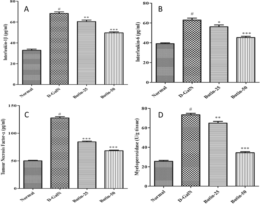 (A). Effect of butin on Interlukin-1 β content against D GalN-induced hepatotoxicity. (B) Effect of butin on Interlukin-6 content against D-GalN-induced hepatotoxicity. (C). Effect of butin on TNF-α content against D GalN-induced hepatotoxicity. (D). Effect of butin on the liver MPO level against D-GalN-induced hepatotoxicity. Values are expressed as Mean ± SEM, # p < 0.05 Normal VS D-GalN; **p < 0.01, *** p < 0.001 D-GalN VS Butin-25, Butin-50.