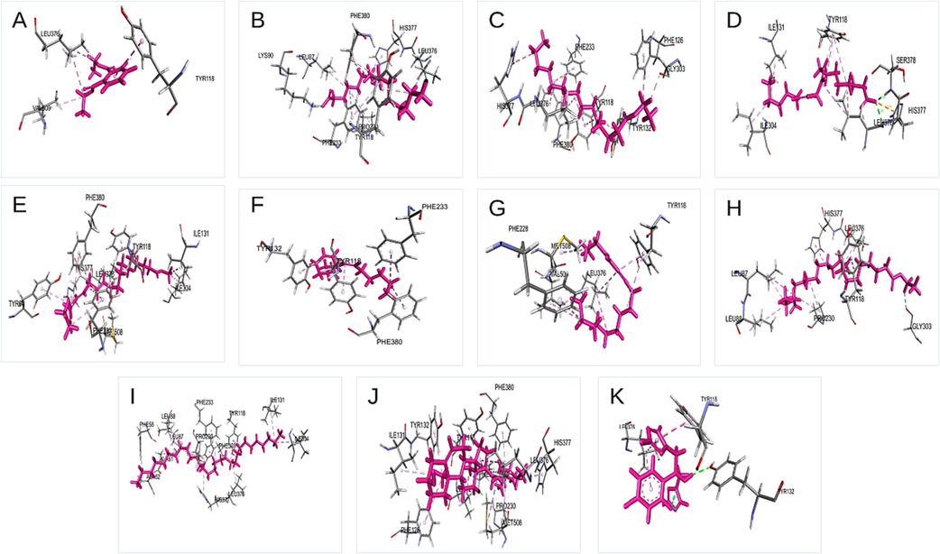 Schematic 3D interaction of phytochemical identified in Ficus racemosa with C. albicans structure. (A) 1,2-Benzenedicarboxylic acid, diethyl ester, (B) Hexadecanoic acid, (C) Pentadecanoic acid, ethyl ester, (D) 9,12-Octadecadienoic acid, (E) 11,14,17-Eicosatrienoic acid, methyl ester, (F) (Z)6,(Z)9-Pentadecadien-1-ol, (G) 4-Hexadecen-6-yne, (H) Ethyl ester of docosanoic acid, (I) Nonacosane, (J) Trans-stigmasta-5,22-dien-3.beta, (K) Fluconazole.