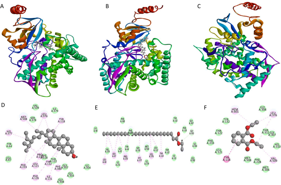 Schematic 3D (ABC) and 2D interaction diagram (DEF) of three compounds with CYP51 from the pathogen C. albicans. Dark green balls indicate van der Waals interactions whereas light green color indicates hydrogen bonds. Yellow and red color indicates cation-pi and unfavorable hydrogen bonds between protein and ligand [Trans-stigmasta-5,22-dien-3 (A), Ethyl ester of docosanoic acid (B), 1,2-Benzenedicarboxylic acid, diethyl ester (C), Trans-stigmasta-5,22-dien-3 (D), Ethyl ester of docosanoic acid (E), 1,2-Benzenedicarboxylic acid, diethyl ester.