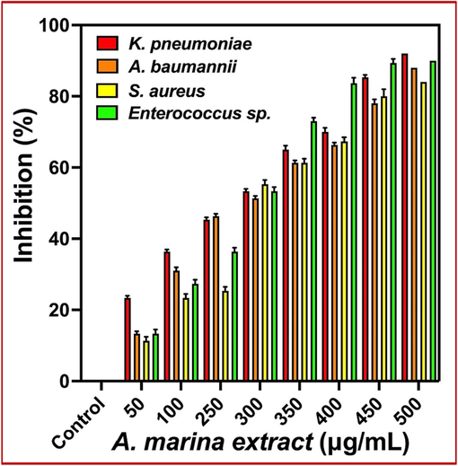 Minimum biofilm inhibition concentration of Avicennia marina extracts against multi drug resistant bacteria by 24-well polystyrene method.