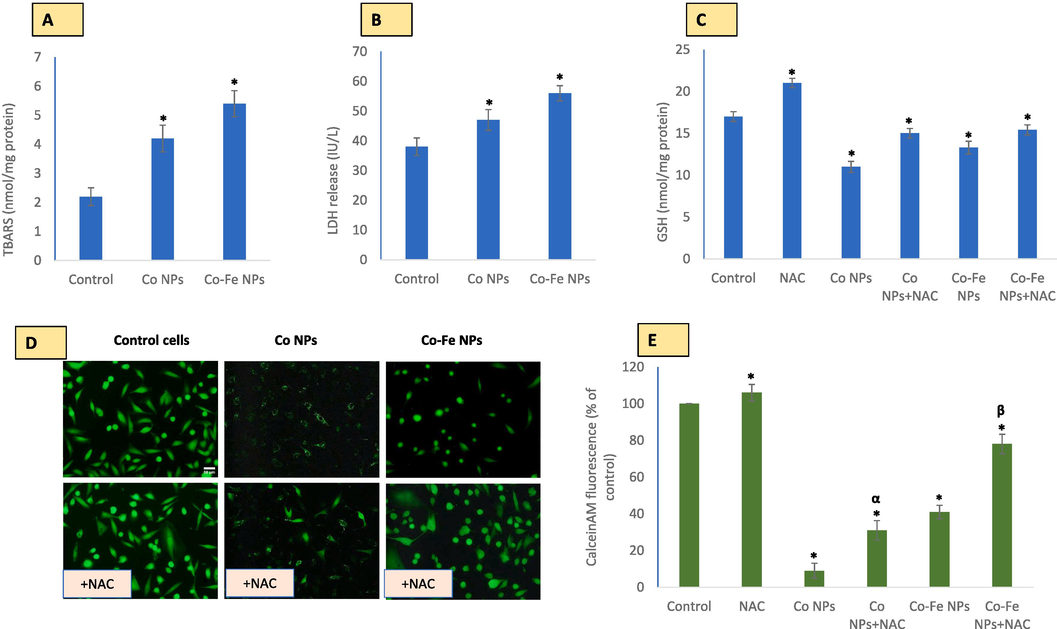 shows the mode of cell death induced by each variant of cobalt-based NPs in A549 cells. Triple staining (A) and detection of caspase 9 (B) and caspase 3 (C) activities were used to determine cell death. The data represented are mean ± SD of three identical experiments (n = 3) made in triplicates, with * denoting a statistically significant difference from the control (p < 0.05 for each).