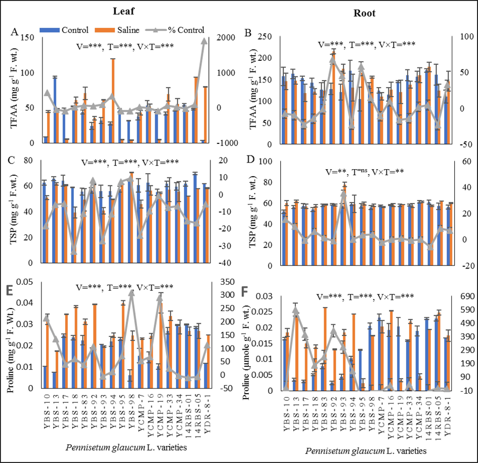 (A) leaf total free amino acids (mg g-1F. wt.), (B) root total free amino acids (mg g-1F. wt.), (C) leaf total soluble proteins (mg g-1F. wt.), (D) root total soluble proteins (mg g-1F. wt.), (E) leaf proline (mg g-1F. wt.) and (F) root proline (mg g-1F. wt.) of eighteen pearl millet varieties grown under control and saline conditions.