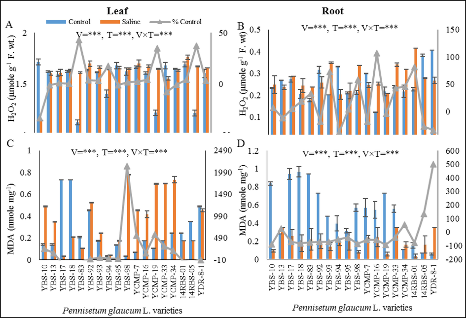 (A) leaf hydrogen peroxide (µmole g-1F. wt.), (B) root hydrogen peroxide (µmole g-1F. wt.), (C) leaf MDA (µmole mg−1) and (D) root MDA (µmole mg−1) of eighteen pearl millet varieties grown under control and saline conditions.