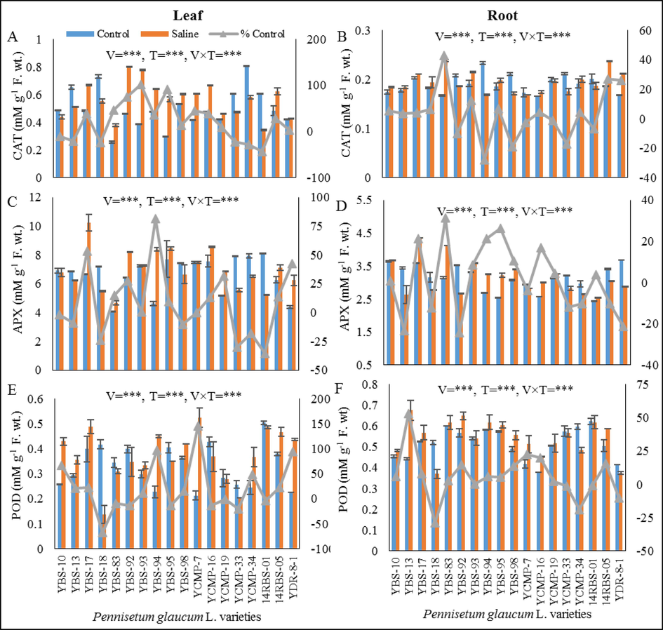 (A) leaf CAT (mM g-1F. wt.), (B) root CAT (mM g-1F. wt.), (C) leaf APX (mM g-1F. wt.), (D) root APX (mM g-1F. wt.), (E) leaf POD (mM g-1F. wt.) and (F) root POD (mM g-1F. wt.) of eighteen pearl millet varieties grown under control and saline conditions.