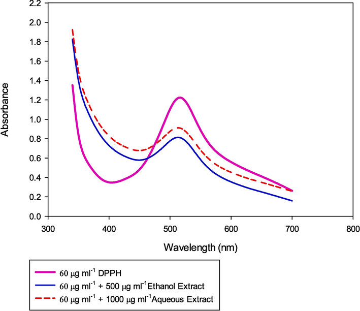 UV–visible spectrum of DPPH and its scavenging activity in the presence of ethanolic and aqueous extract of P. scoparium.