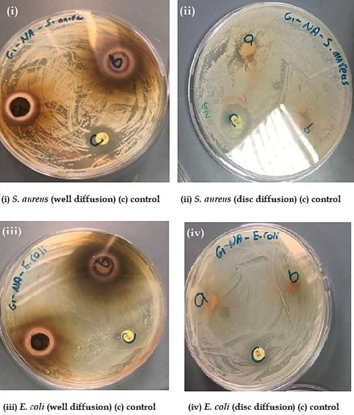 Antibacterial activities for well diffusion, disc diffusion, and control.