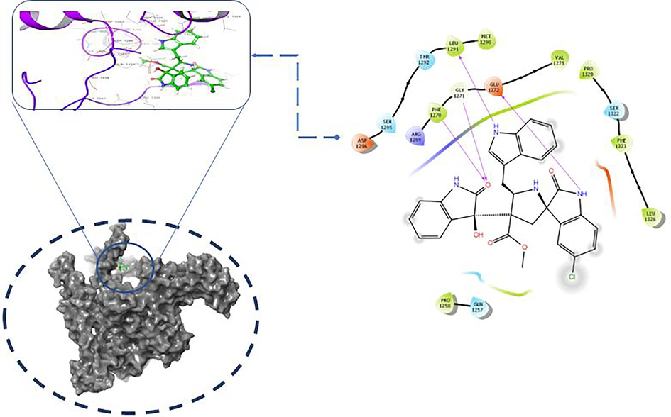 Molecular Binding interaction of RNA Ploymerase enzyme and ligand hydrogen bonding pose with binding site amino acids of (PHE 1270, GLY 1271, LEU 1291,GLU 1272).